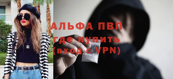стафф Каменка