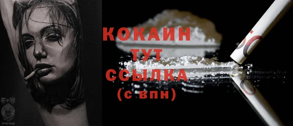 стафф Каменка