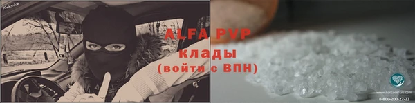 стафф Каменка
