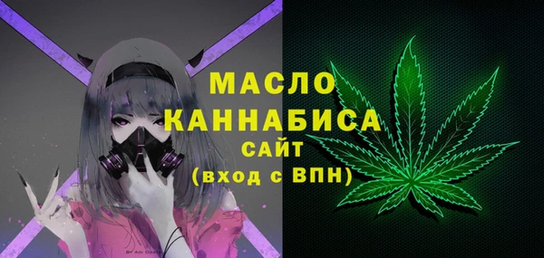 стафф Каменка