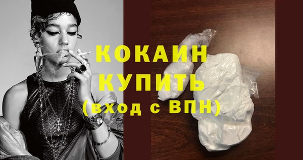 стафф Каменка